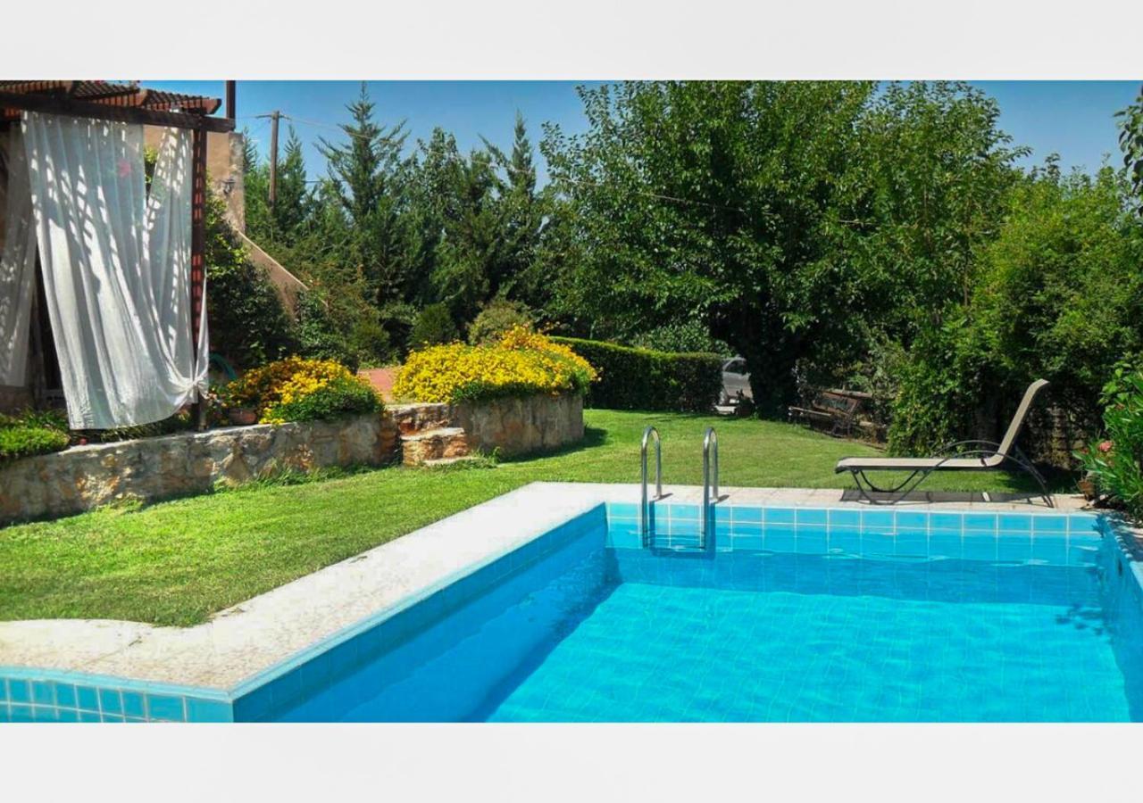 Villa Skine With Private Pool And Garden Chania  Exterior foto